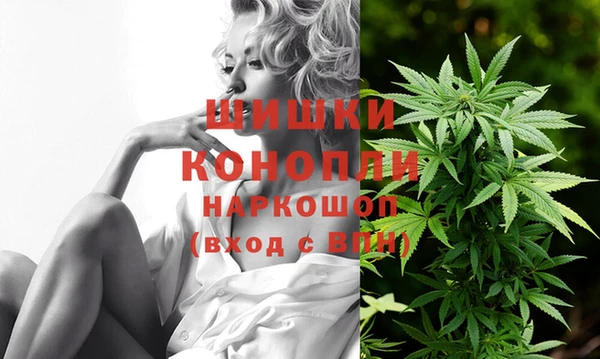 apvp Гусь-Хрустальный