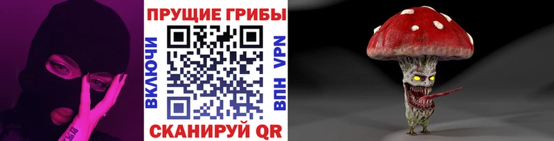 Галлюциногенные грибы Psilocybe  Купить  Острогожск 